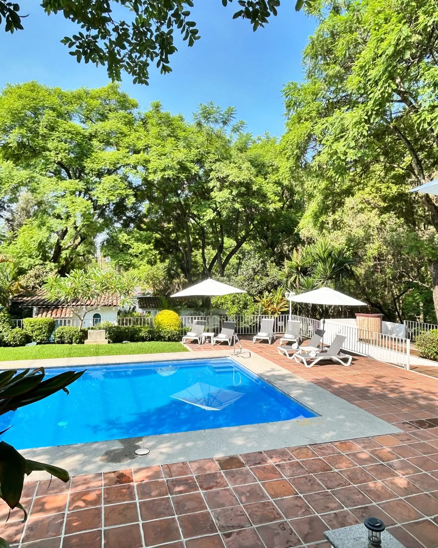 Alberca rodeada de jardines en Hotel Cala Blanca